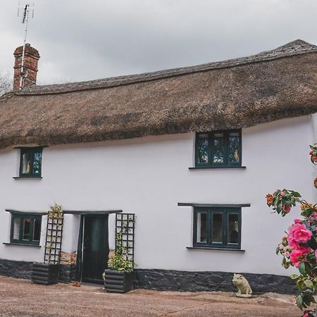 'The Cottage' 欧克汉普敦 外观 照片
