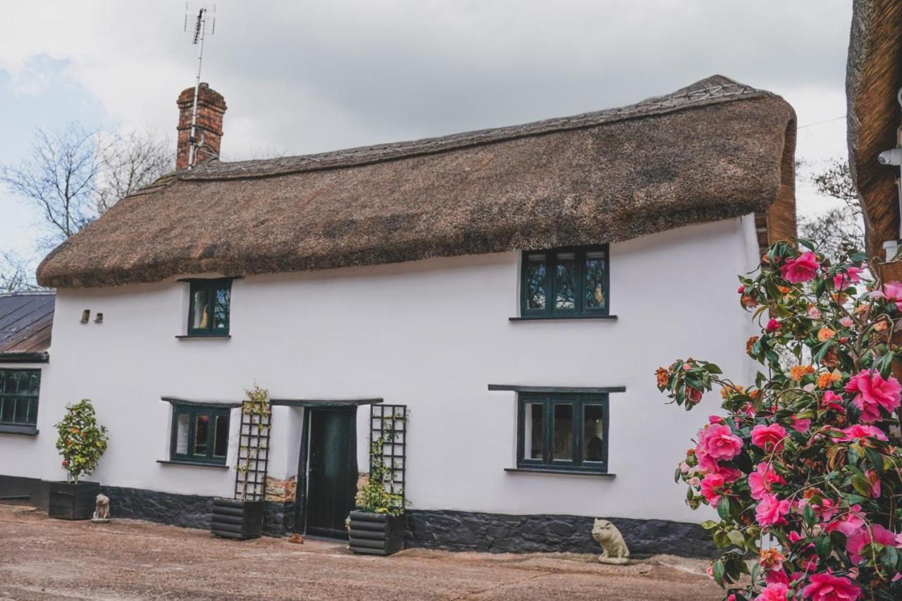 'The Cottage' 欧克汉普敦 外观 照片