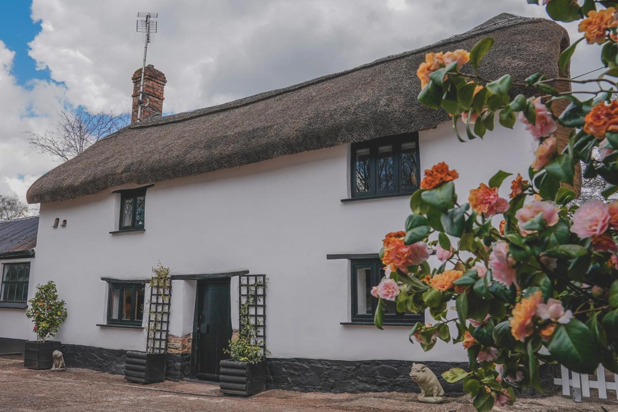 'The Cottage' 欧克汉普敦 外观 照片